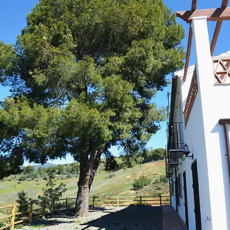 Casa Grande By Rosas Cantares *