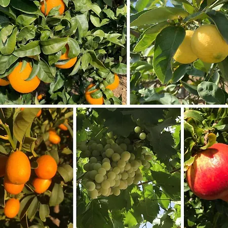 Сasa de vacaciones Casa Grande / Rosas Cantares Pizarra