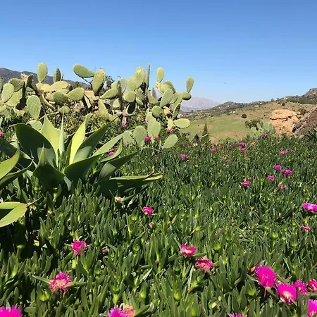 Casa Grande / Rosas Cantares